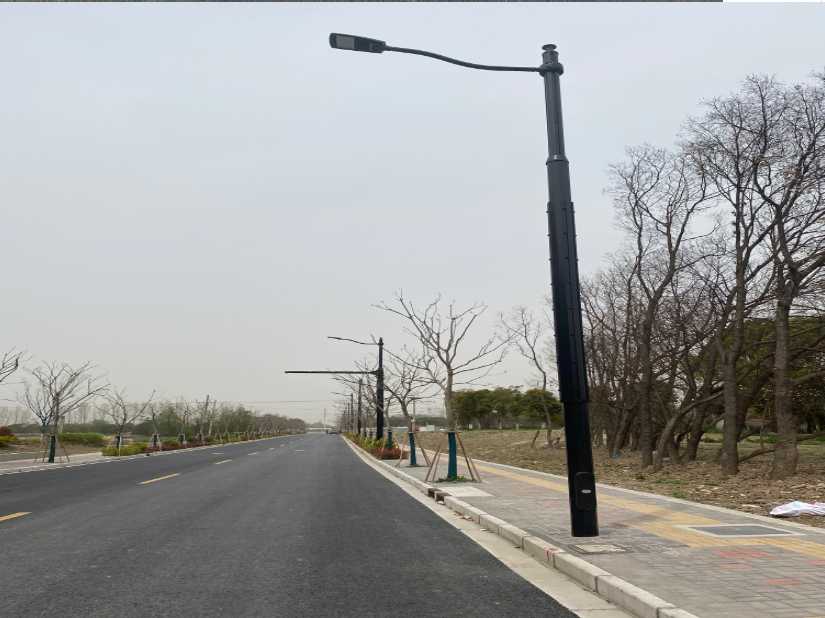 彭泽县上海综合杆 太阳能路灯工程
